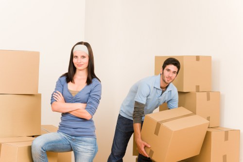 Accessibility support message for Havering removals users